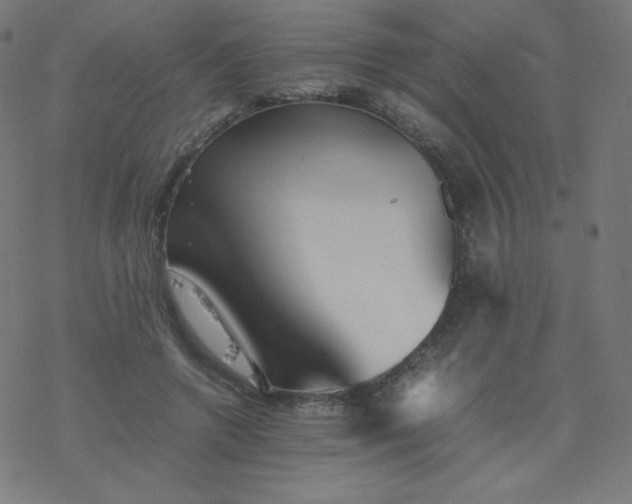 X0000077380546200611031939