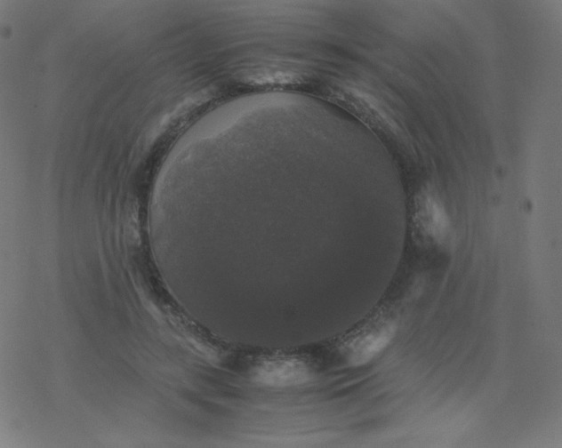 X0000077380547200611031939