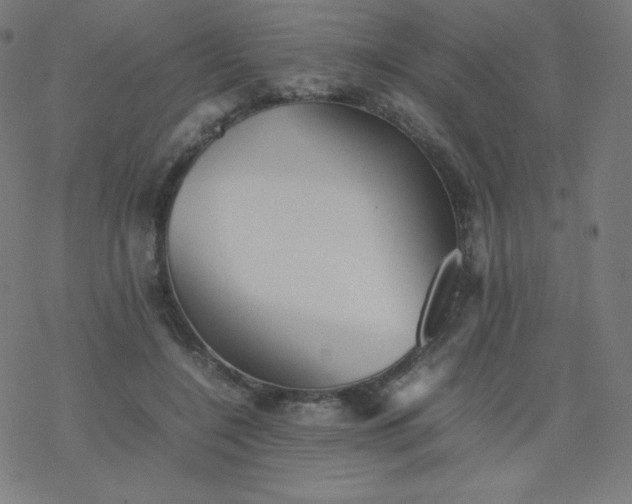 X0000077380548200611031939