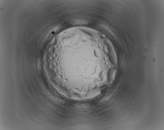 X0000077380549200611031939