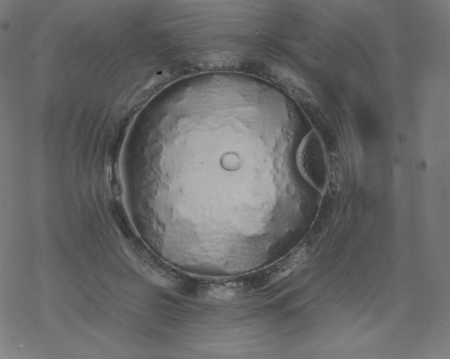 X0000077380550200611031939