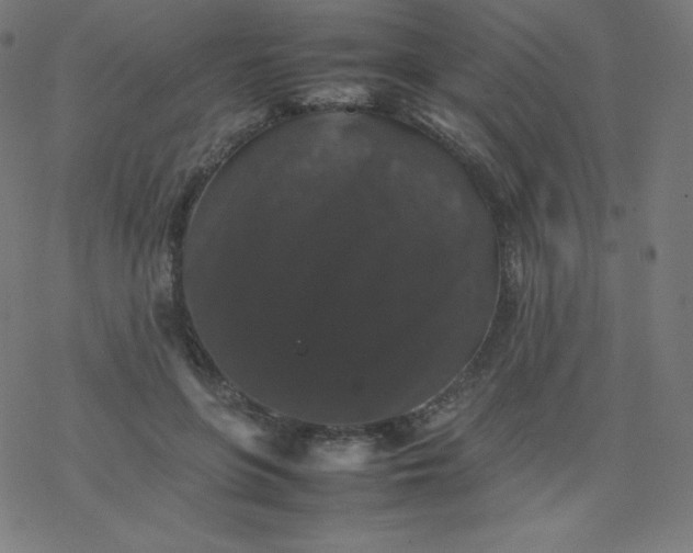 X0000077380551200611031939