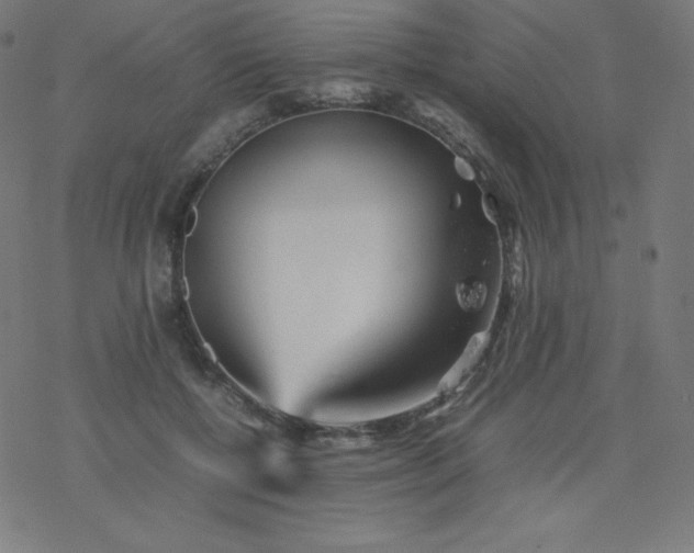 X0000077380552200611031939