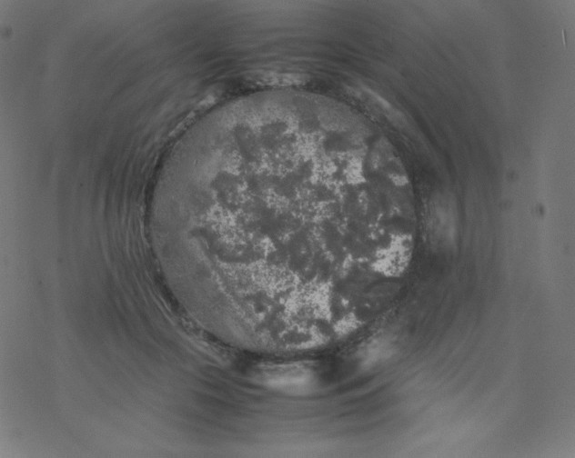 X0000077380553200611031939