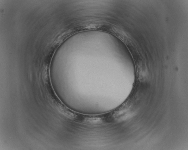 X0000077380554200611031939