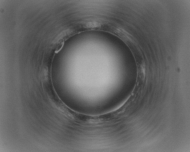 X0000077380556200611031939