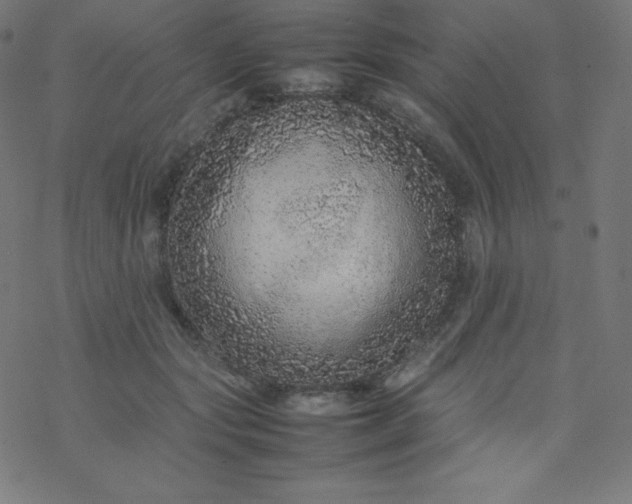 X0000077380557200611031939