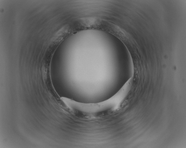 X0000077380558200611031939