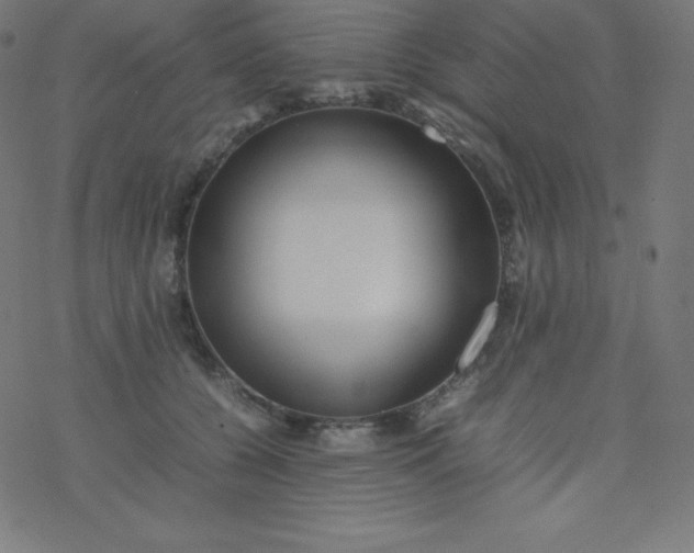 X0000077380560200611031939