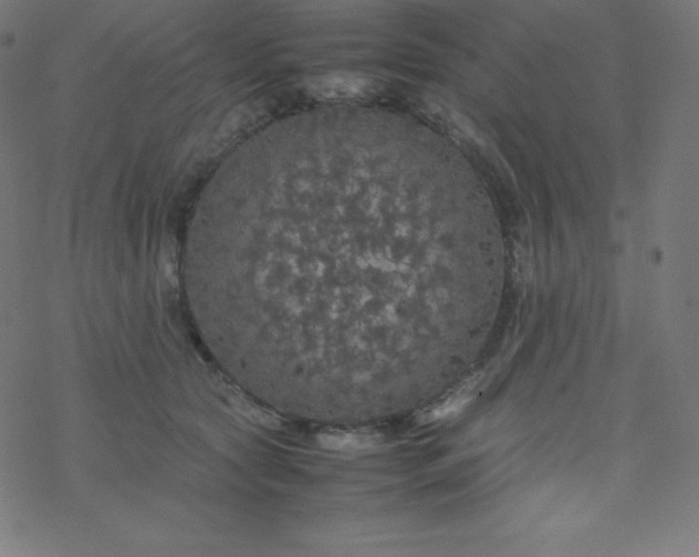 X0000077380561200611031939