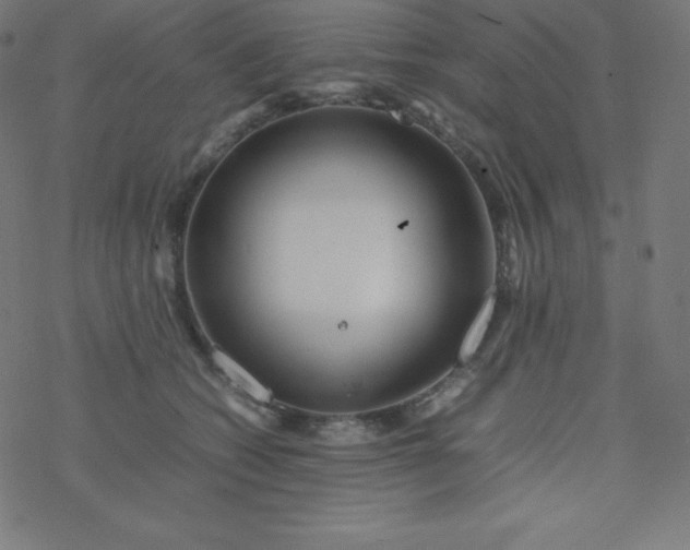 X0000077380562200611031939