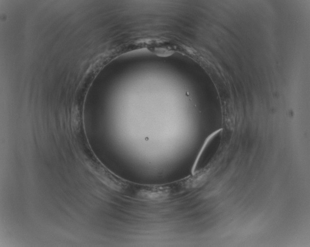 X0000077380563200611031939