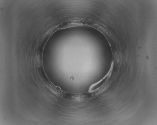 X0000077380564200611031939