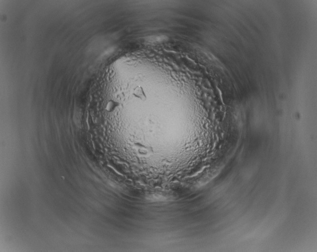 X0000077380565200611031939