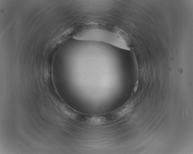 X0000077380566200611031939