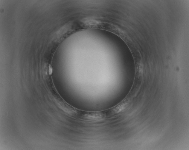 X0000077380567200611031939