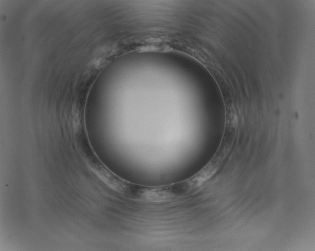 X0000077380568200611031939