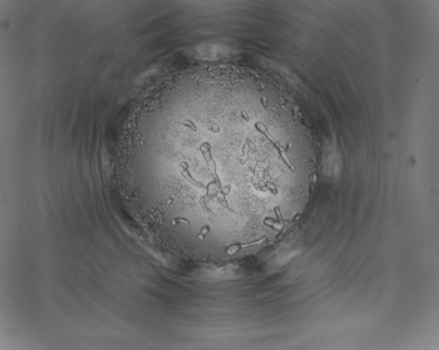 X0000077380569200611031939