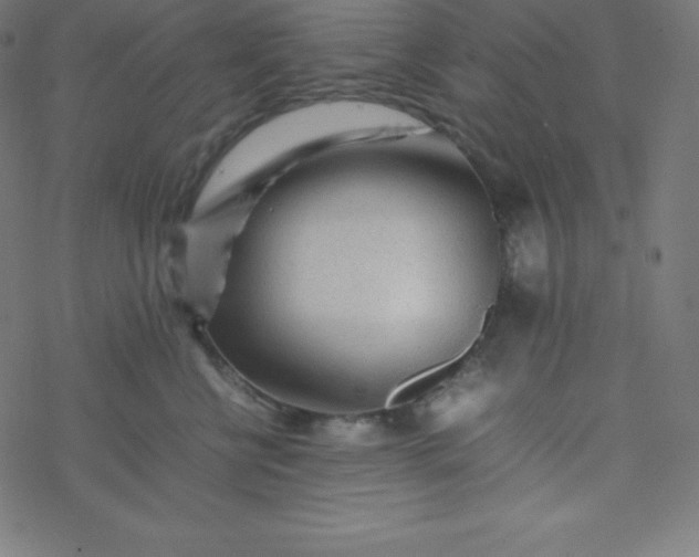 X0000077380570200611031939