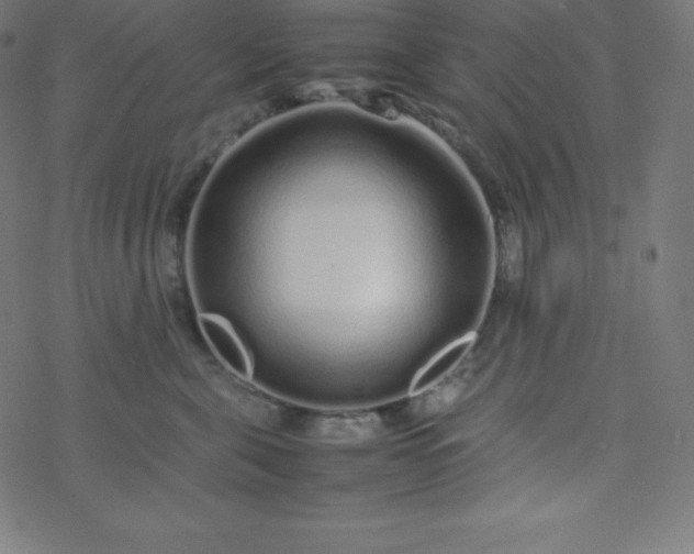 X0000077380571200611031939