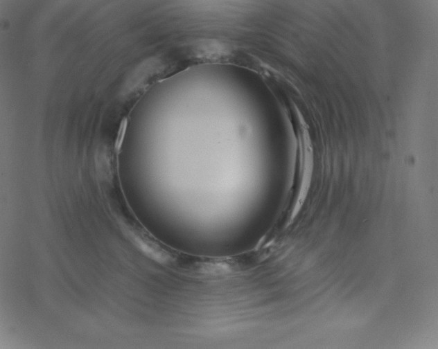 X0000077380572200611031939