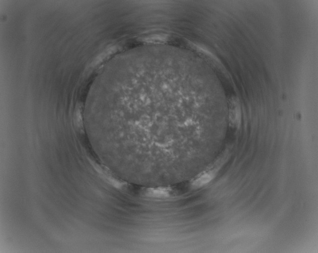 X0000077380573200611031939