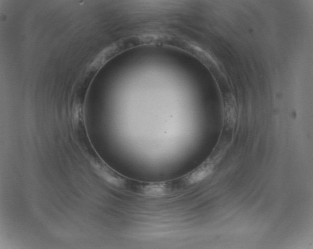 X0000077380574200611031939