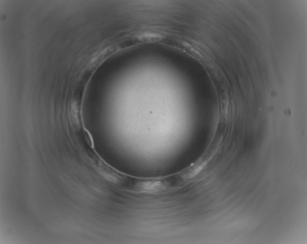 X0000077380575200611031939