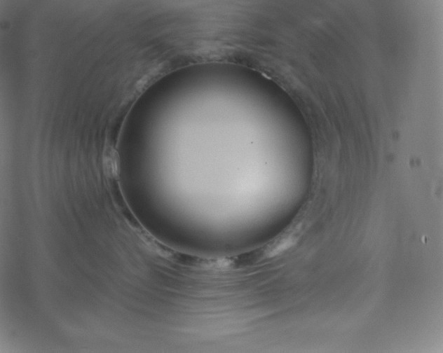 X0000077380576200611031939