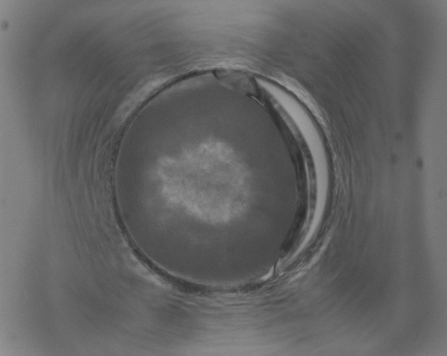 X0000077380577200611031939