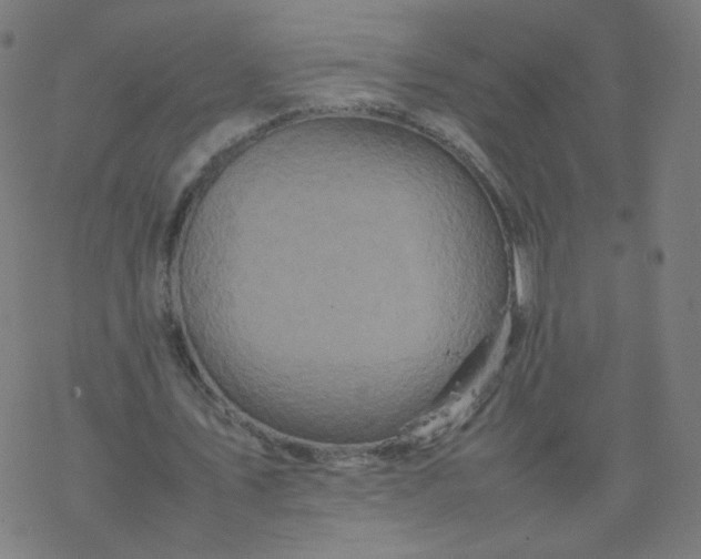 X0000077380579200611031939