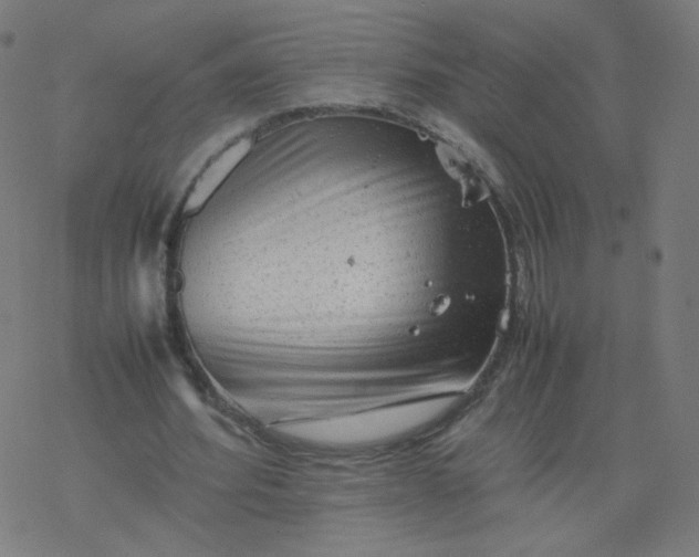 X0000077380580200611031939