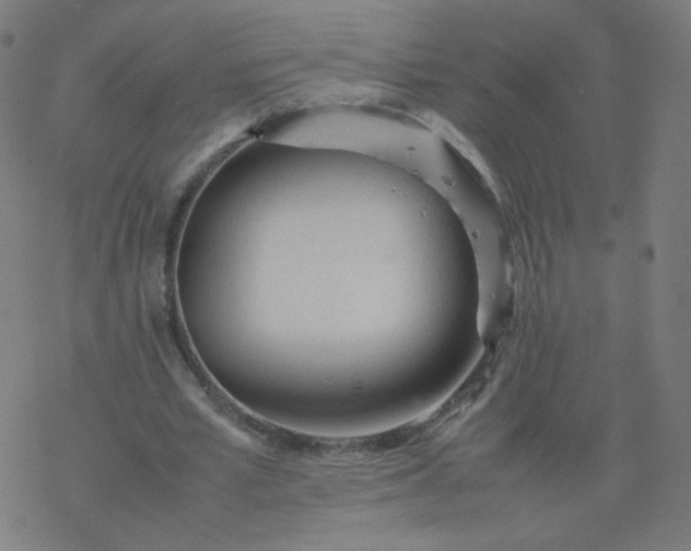 X0000077380581200611031938