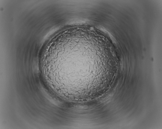 X0000077380582200611031938