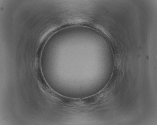 X0000077380583200611031938