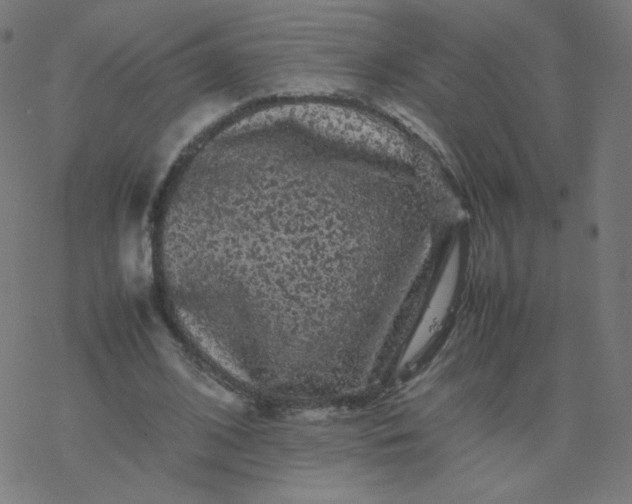 X0000077380584200611031938