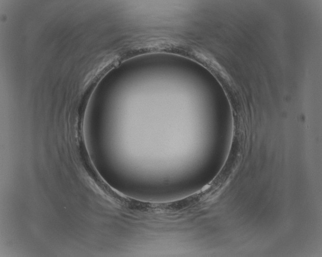 X0000077380585200611031938