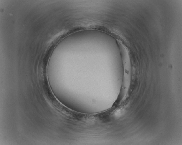 X0000077380587200611031938