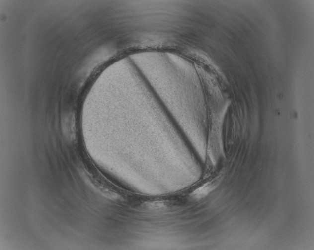 X0000077380588200611031938