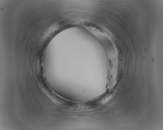 X0000077380589200611031938