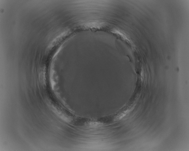 X0000077380590200611031938