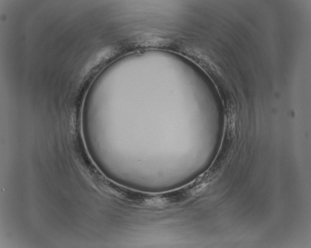 X0000077380591200611031938