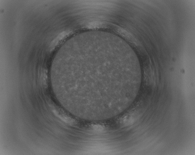 X0000077380592200611031938