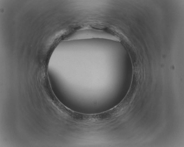 X0000077380593200611031938