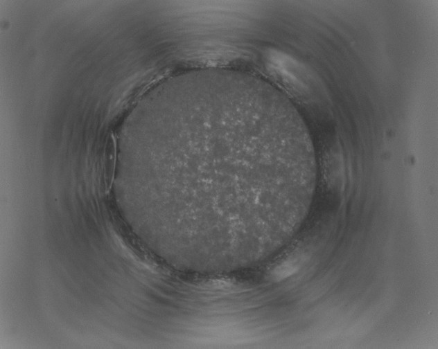 X0000077380594200611031938