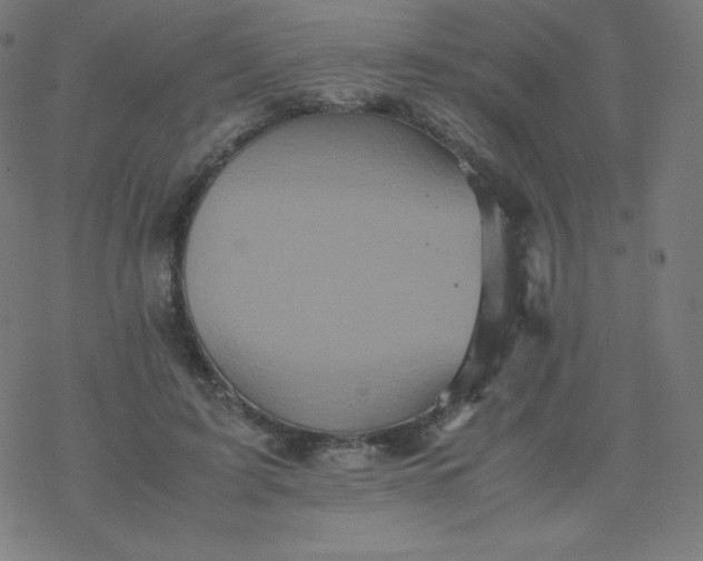 X0000077380595200611031938