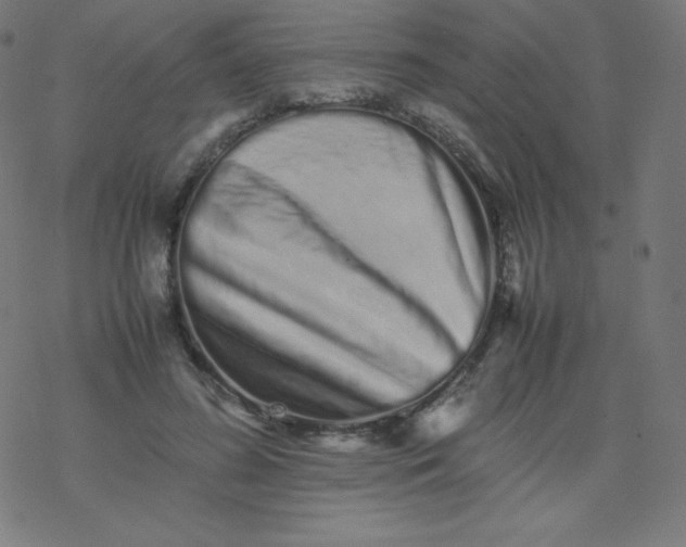 X0000077380596200611031938