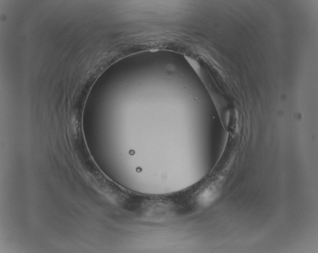 X0000077380597200611031938