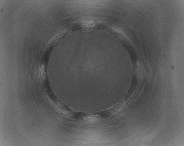 X0000077380598200611031938