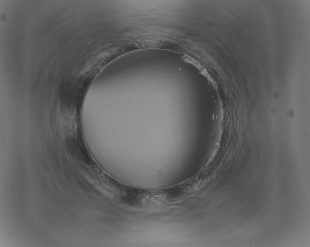 X0000077380599200611031938